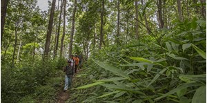 Tour trekking đồi Doi Pui