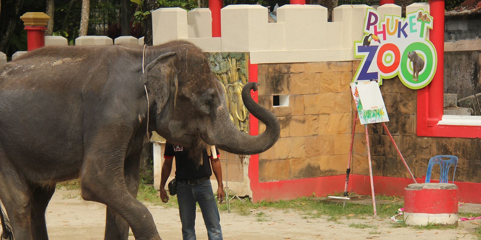 Vé Phuket Zoo và Animal Parks