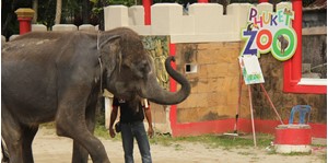 Hình của Vé Phuket Zoo và Animal Parks