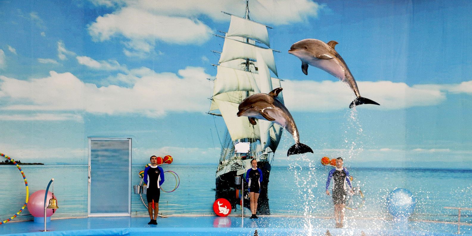 Dolphins Bay Show Phuket 