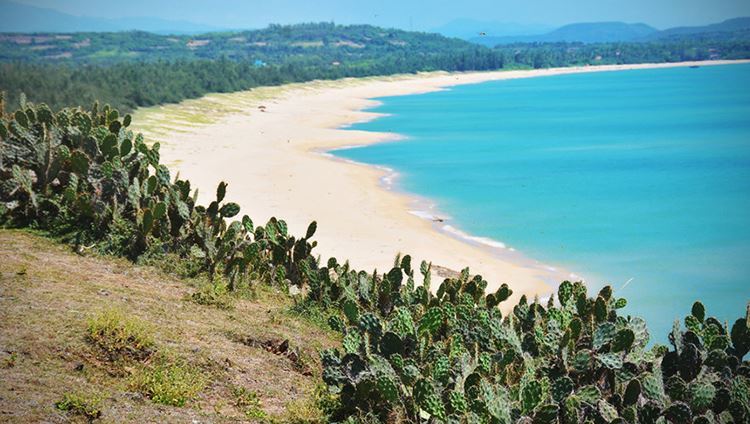 Tour  Phú Yên - Mũi Điện - Hòn Nưa