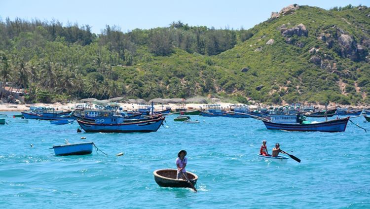 Tour Cù Lao Xanh Quy Nhơn 1 ngày