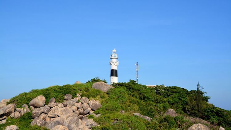 Tour Cù Lao Xanh Quy Nhơn 1 ngày