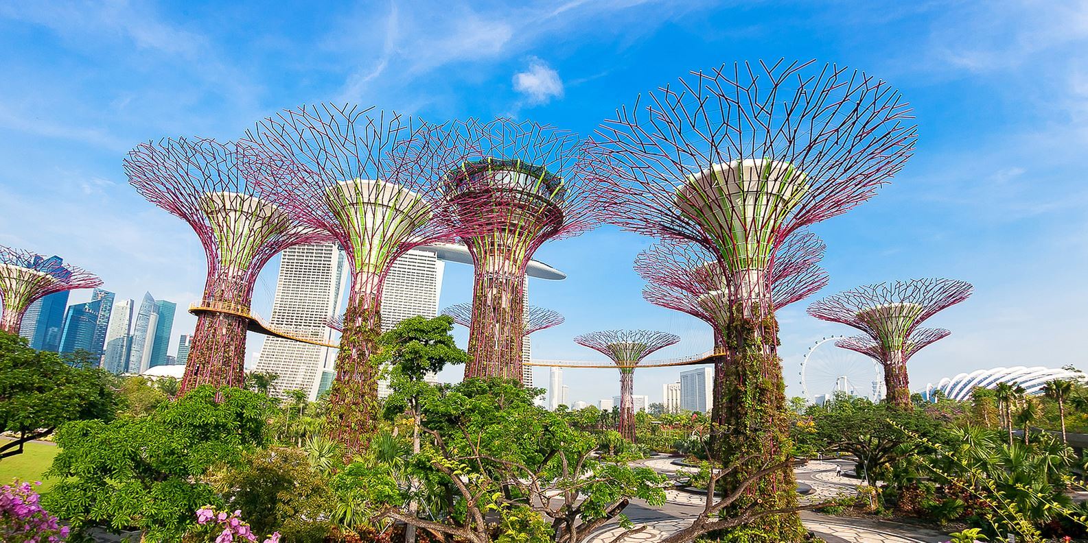 Combo Gardens by the Bay - OCBC Skyway