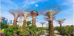 Combo Gardens by the Bay - OCBC Skyway