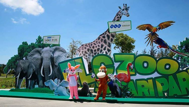 Vé FLC Zoo Safari Park Quy Nhơn