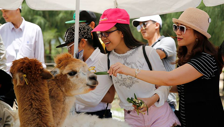 Vé FLC Zoo Safari Park Quy Nhơn