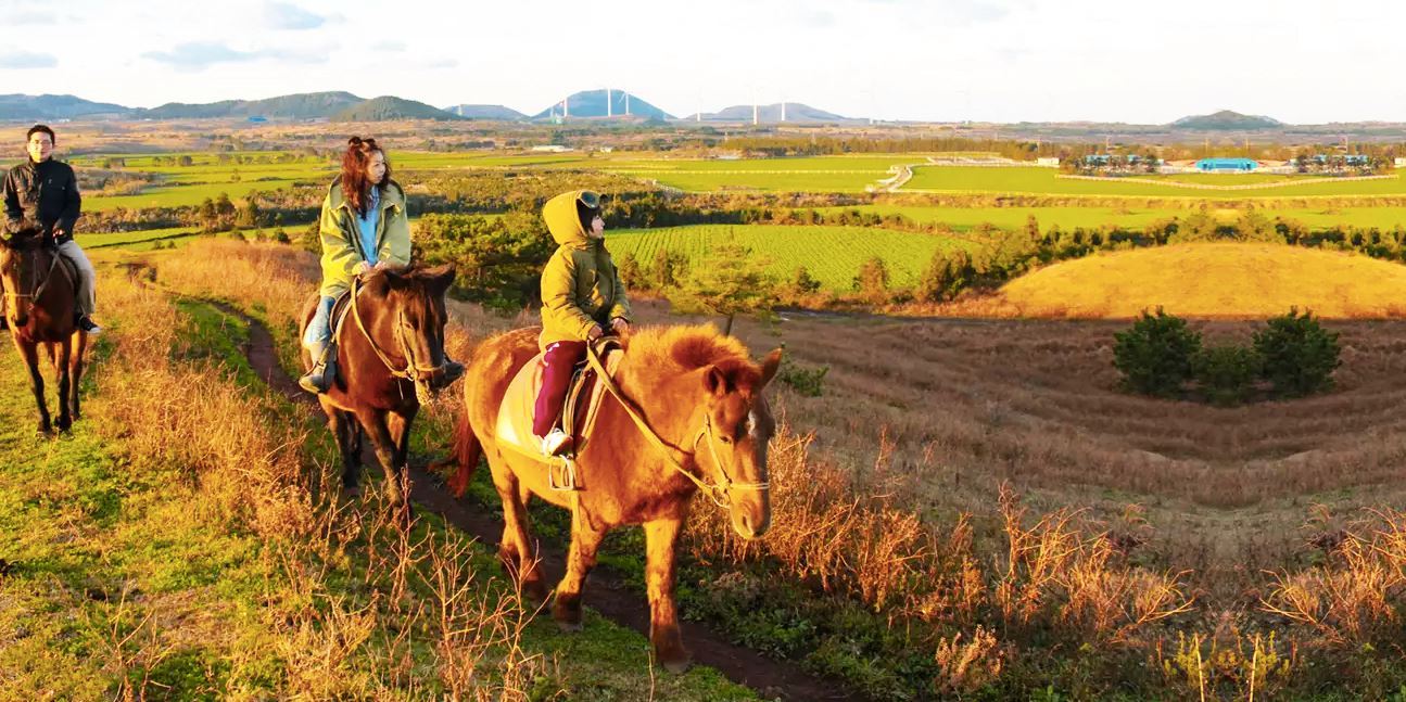 Jeju Land Horseback Riding - Cưỡi ngựa đảo Jeju