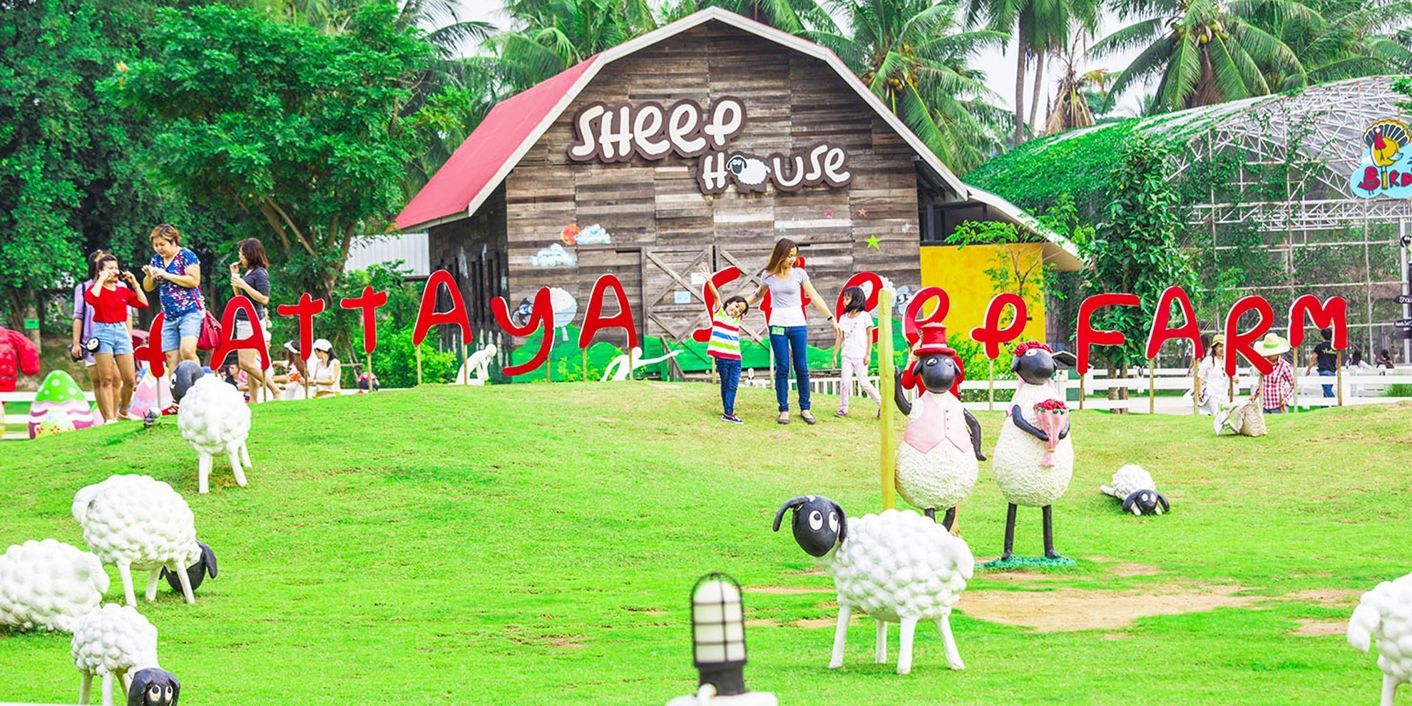 Vé Swiss Sheep Farm - nông trại cừu Pattaya