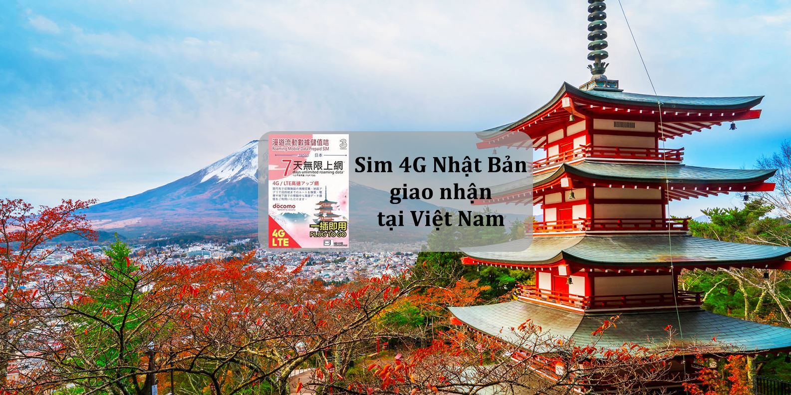 Sim 4G Nhật Bản giao nhận tại Việt Nam