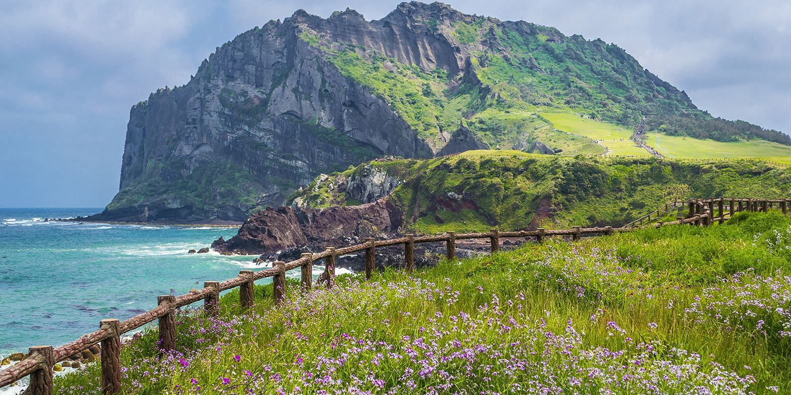 Tour khám phá bờ Tây đảo Jeju