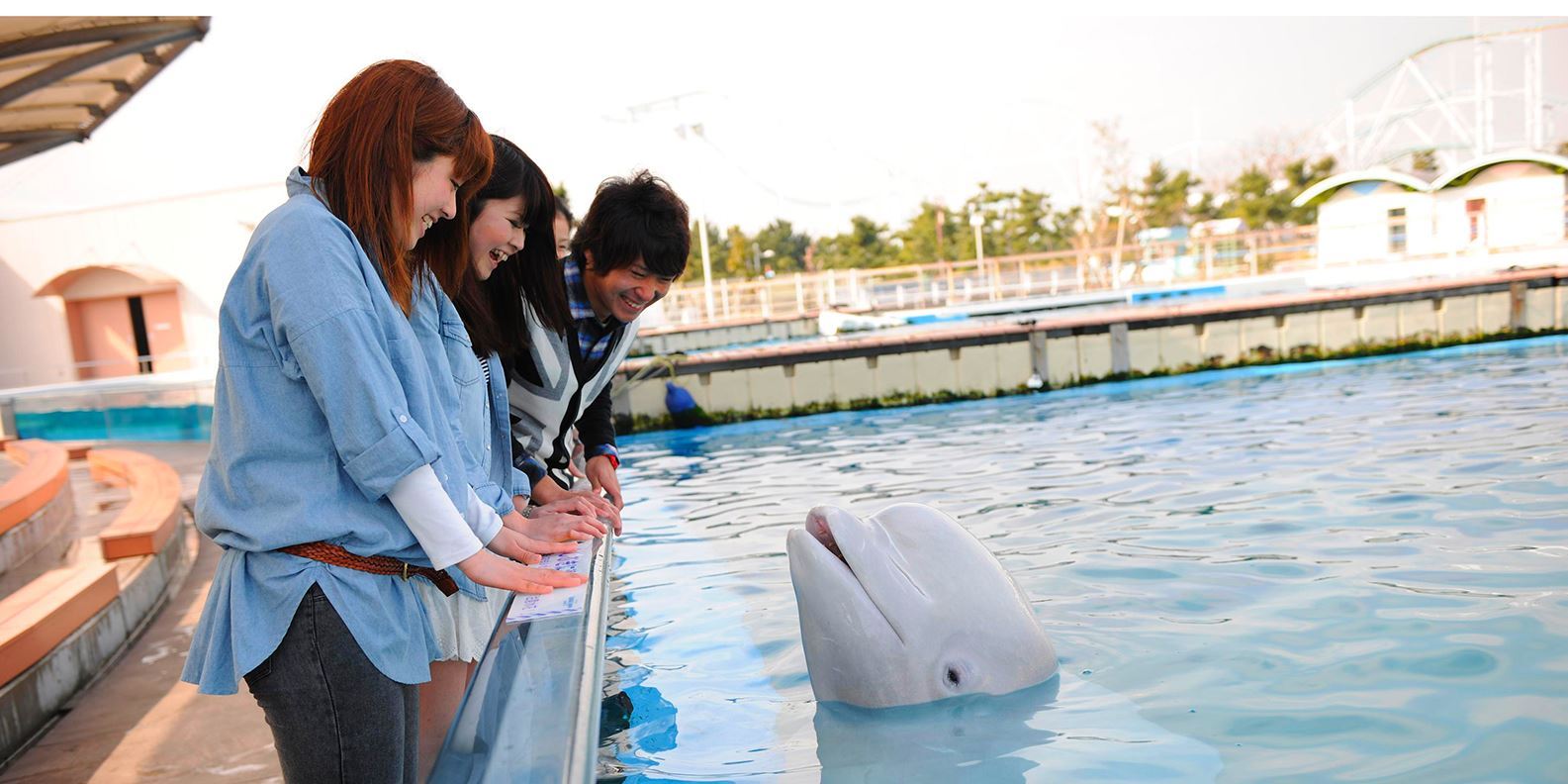 Vé Yokohama Hakkeijima Sea Paradise