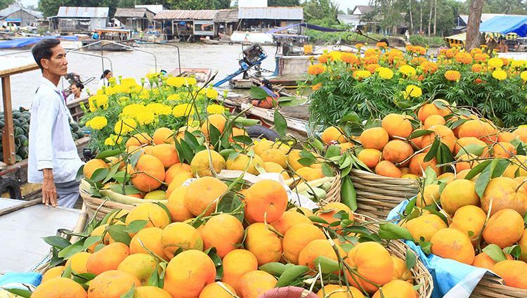 Tour Mỹ Tho - Bến Tre - Cần Thơ 2N1Đ