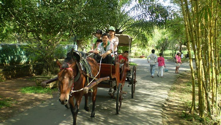 Tour Mỹ Tho - Bến Tre - Cần Thơ 2N1Đ