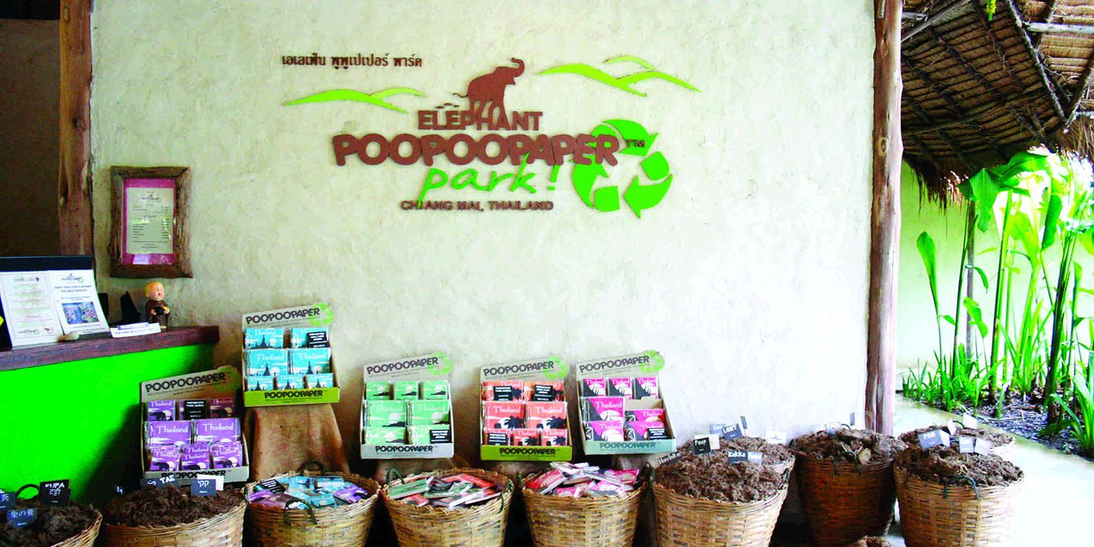 Vé Elephant PoopooPaper Park Chiang Mai