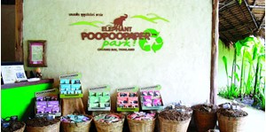 Hình của Vé Elephant PoopooPaper Park Chiang Mai