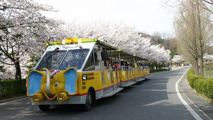 Vé công viên giải trí Seoul Land Theme Park