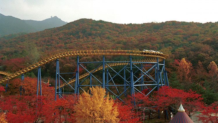 Vé công viên giải trí Seoul Land Theme Park