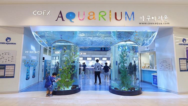 Vé COEX Aquarium