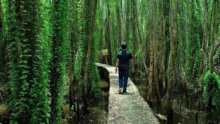 Tour làng nổi Tân Lập 1 ngày