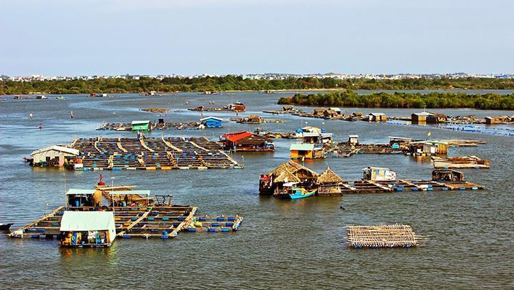 Tour Vũng Tàu 1 ngày- Long Sơn - Hồ Đá Xanh