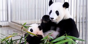Vé Zoo Negara Malaysia