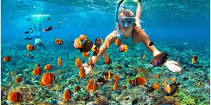 Hình của Tour Cù Lao Chàm - Lặn Ngắm San Hô