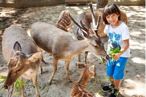 Vé tham quan vườn thú Bali