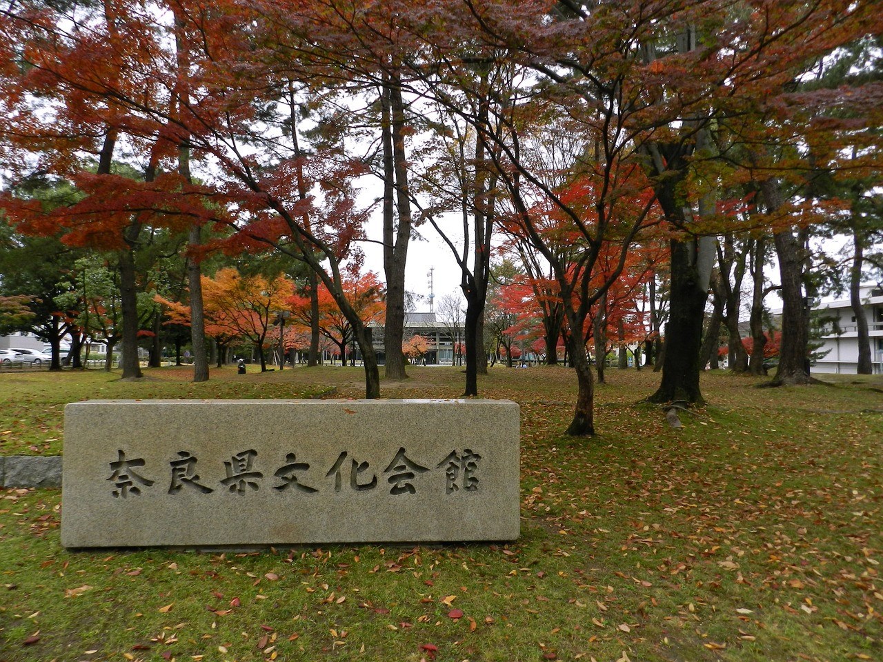Tour tham quan Nara- khởi hành từ Kyoto