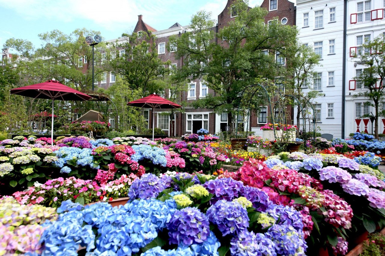 Vé vào cửa Huis Ten Bosch
