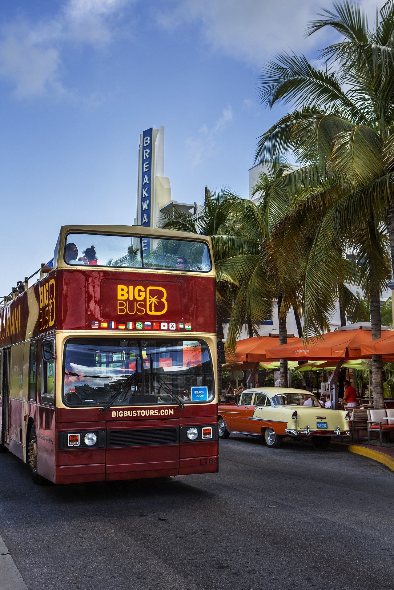 Miami Hop-on & Hop-off Bus