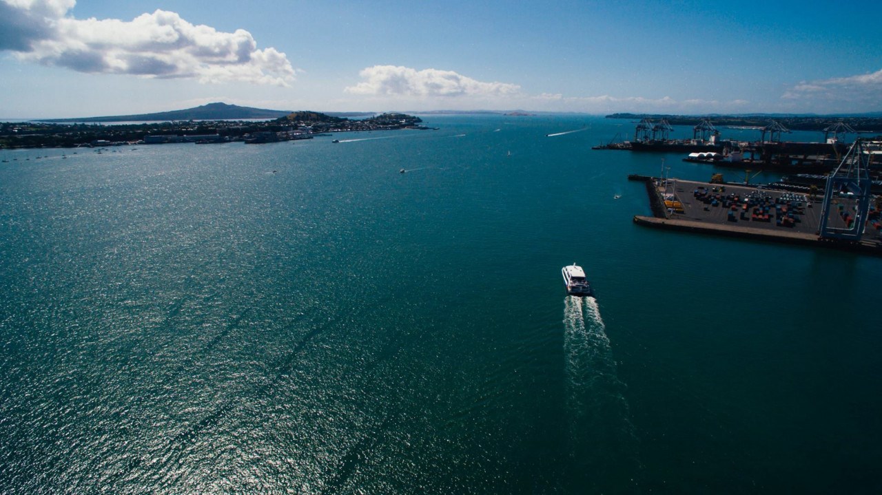 Tour đi tàu ở cảng Waitematā      