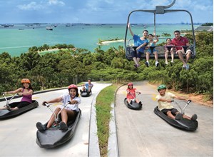 COMBO- Luge và Skyride - Gardens by the Bay