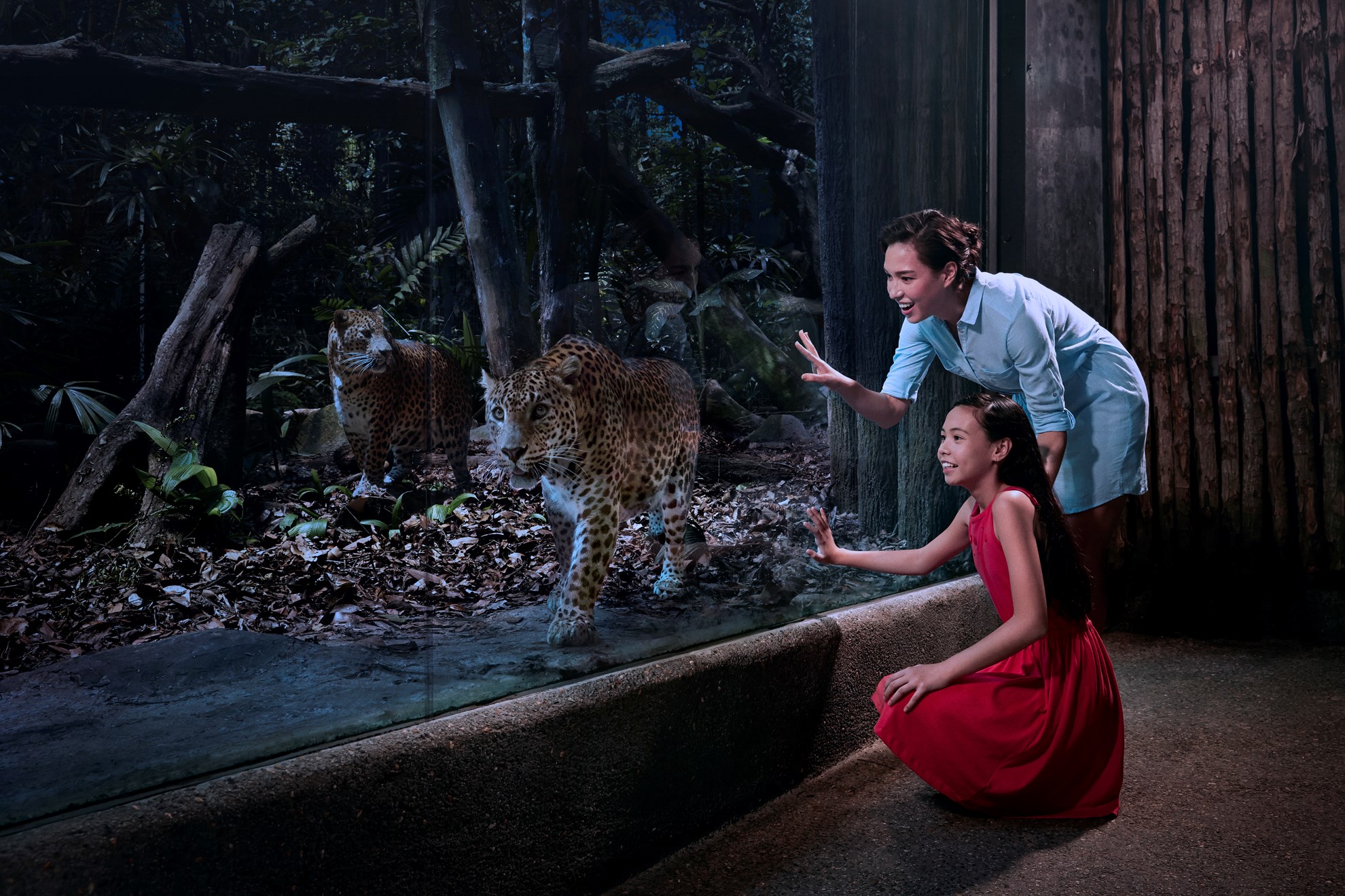 COMBO- Singapore Night Safari - River Safari
