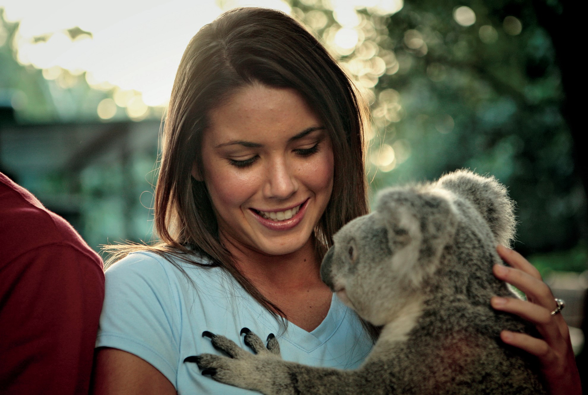 Currumbin Wildlife Sanctuary - Vé vào cửa