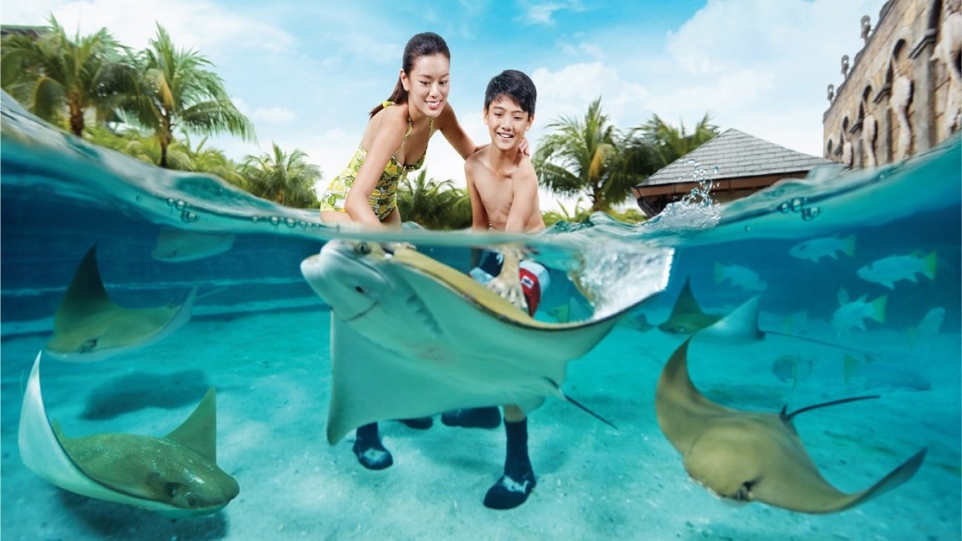 Khám Phá Thế Giới Sinh Vật Biển