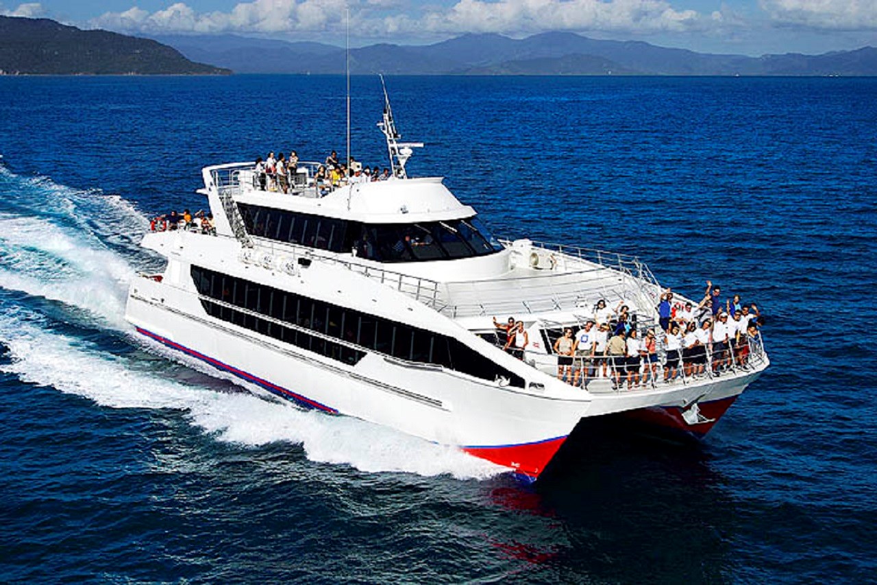 Moreton Bay Whale Watching