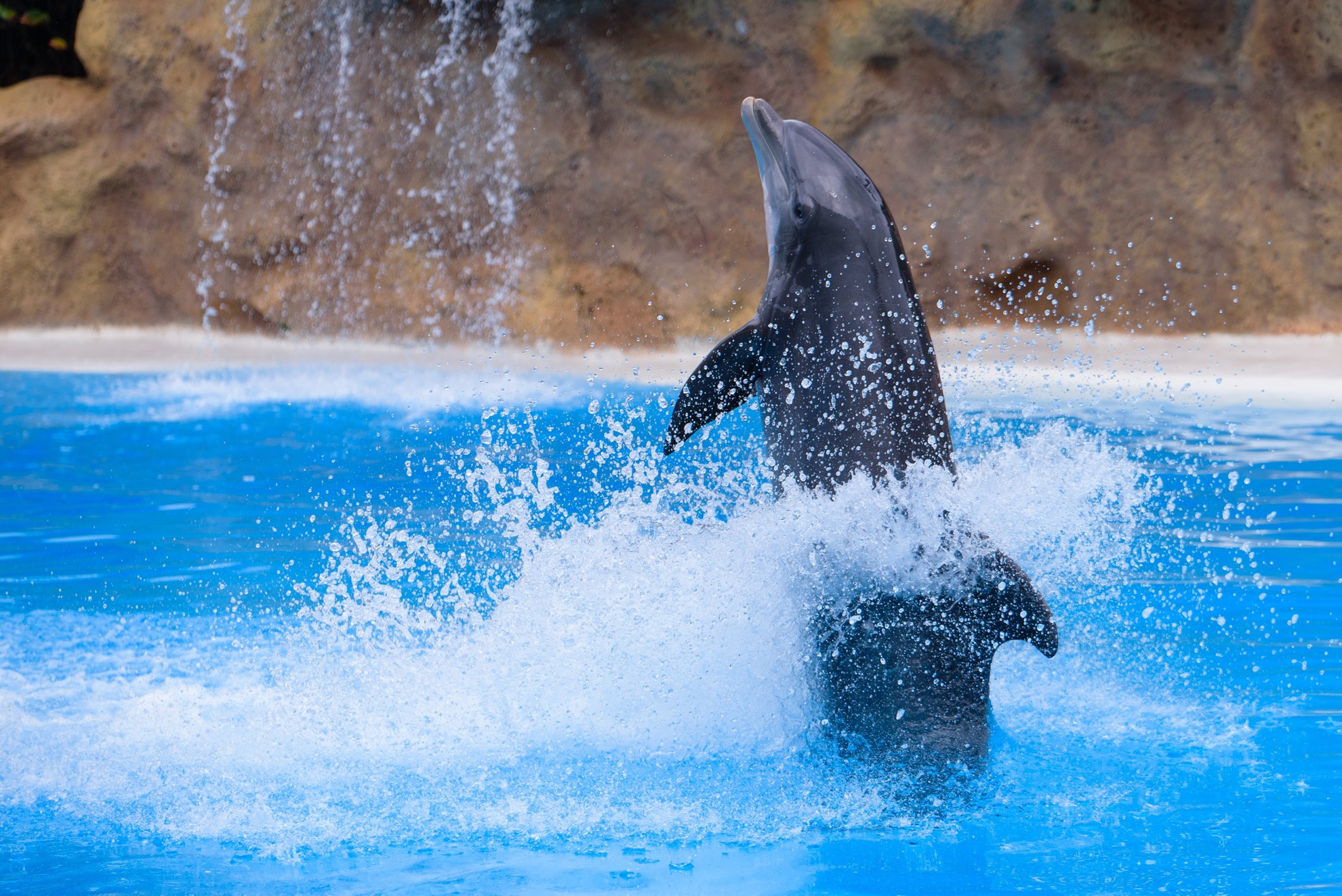 Sea World