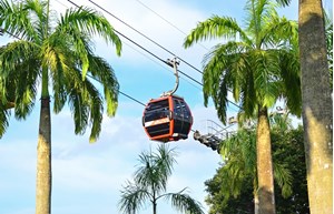 Vé cáp treo - Singapore Cable Car Sky Pass