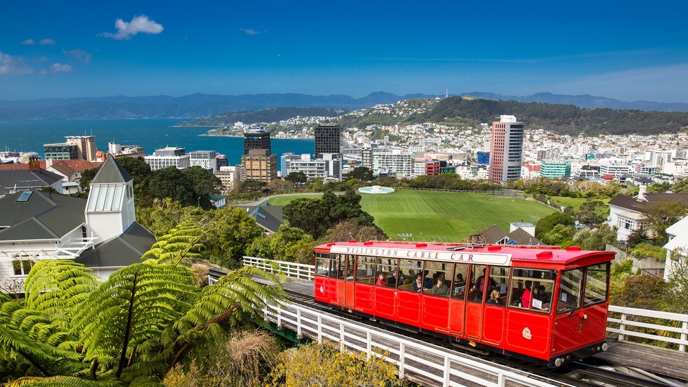 Hiển thị sản phẩm của danh mục Wellington
