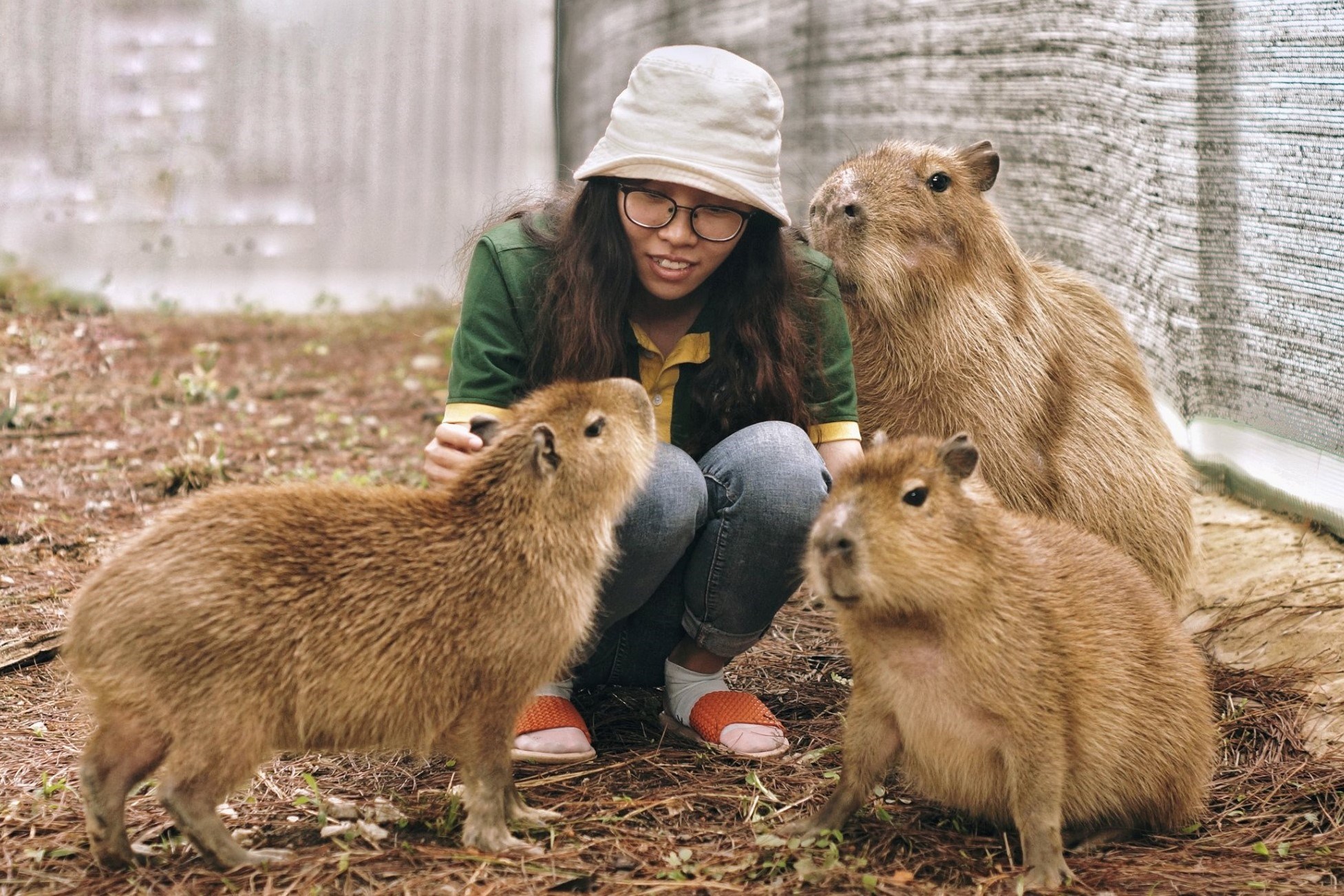 Vé ZooDoo Đà Lạt