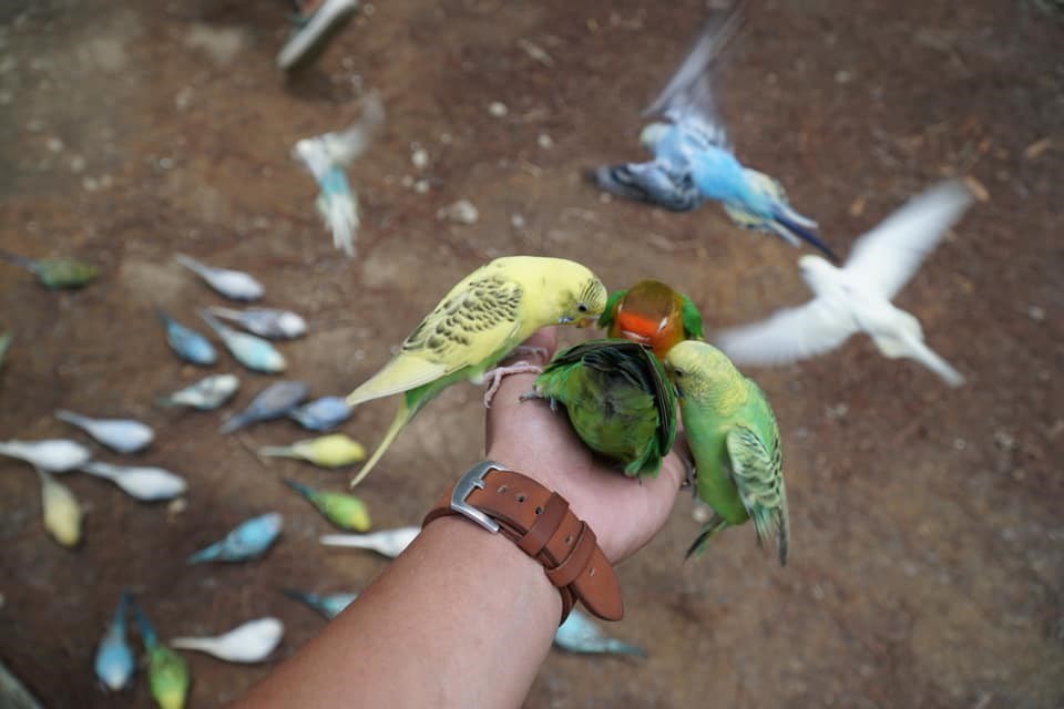 Vé ZooDoo Đà Lạt