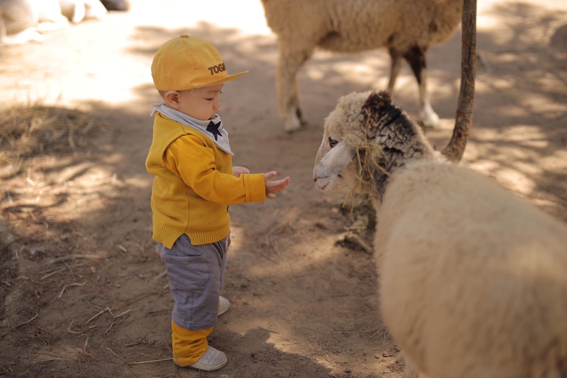Vé ZooDoo Đà Lạt