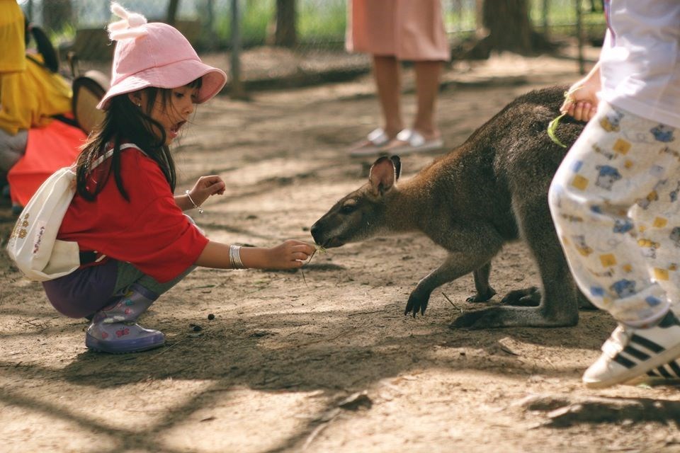 Vé ZooDoo Đà Lạt
