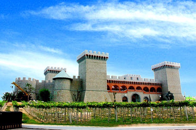 Vé Lâu đài rượu vang RD Phan Thiết