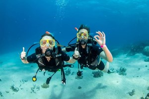 Hình của Tour Lặn Biển - Đi Bộ Dưới Biển Nha Trang
