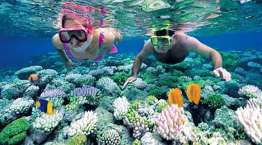 Tour Lặn Chuyên Nghiệp Phú Quốc