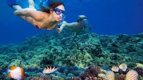 Tour Khám Phá Hòn Bảy Cạnh (nửa ngày)