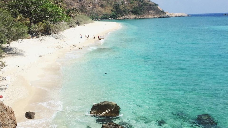 Tour Khám Phá Hòn Cau (nửa ngày)