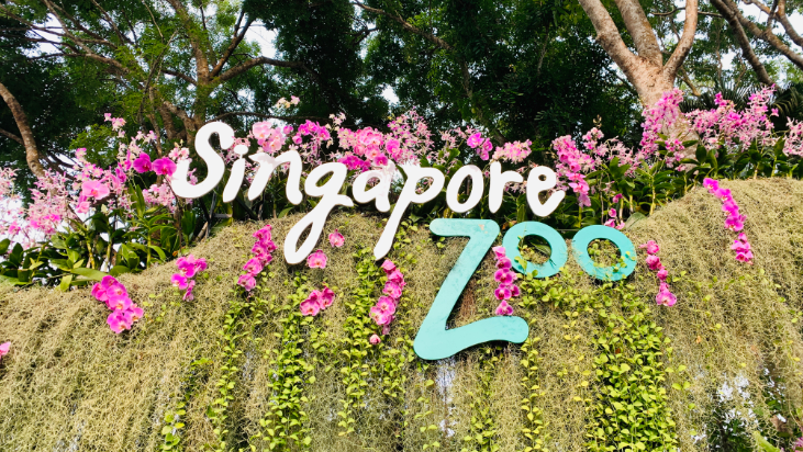 Vé Singapore Zoo